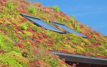 Hamptons living roof systems