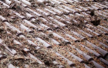 Hamptons roof cleaning companies