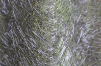 Hamptons fibreglass roof work